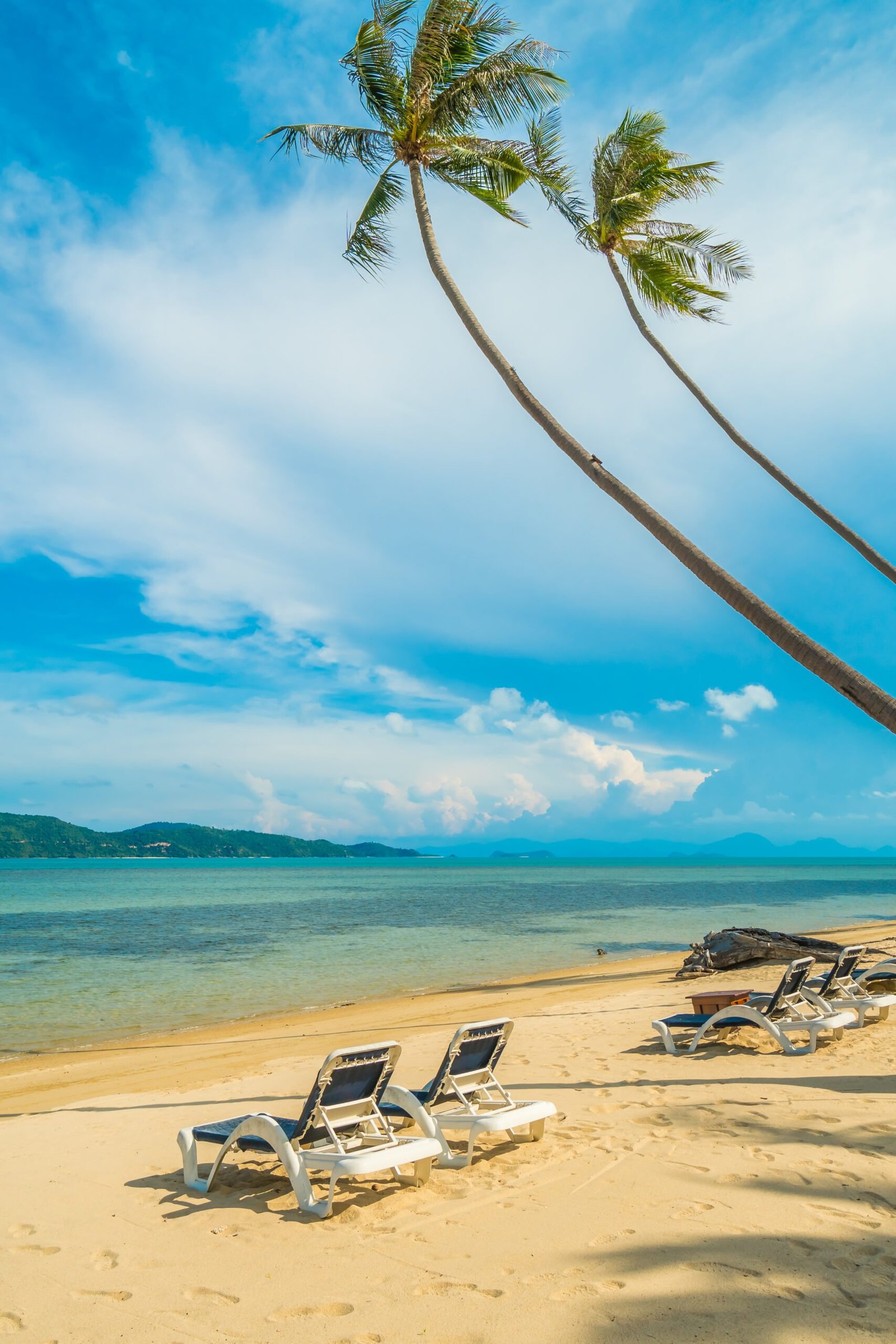 Beautiful tropical beach and sea with coconut palm tree and chai